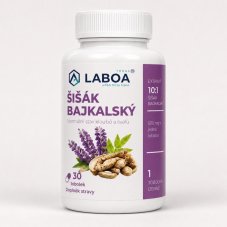 LABOA Šišák bajkalský