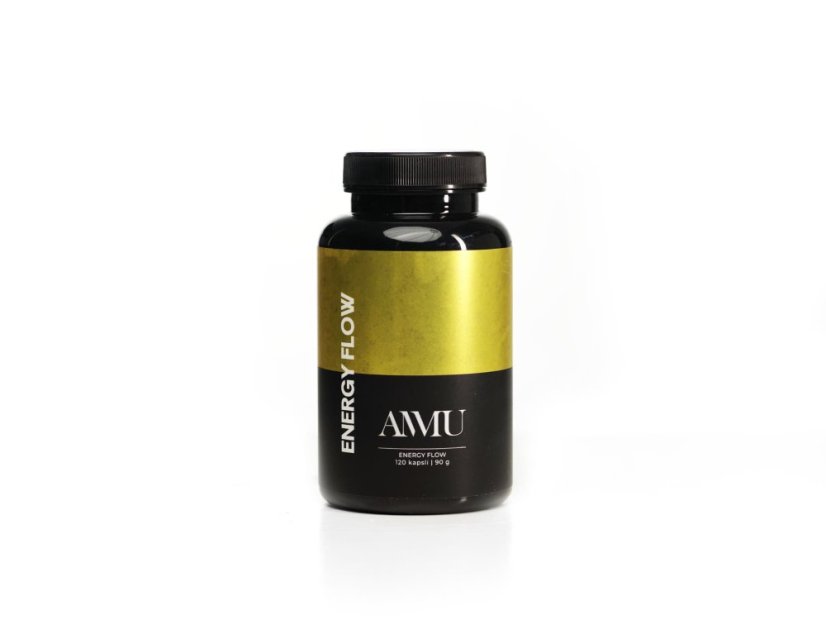 AMMU Energy Flow